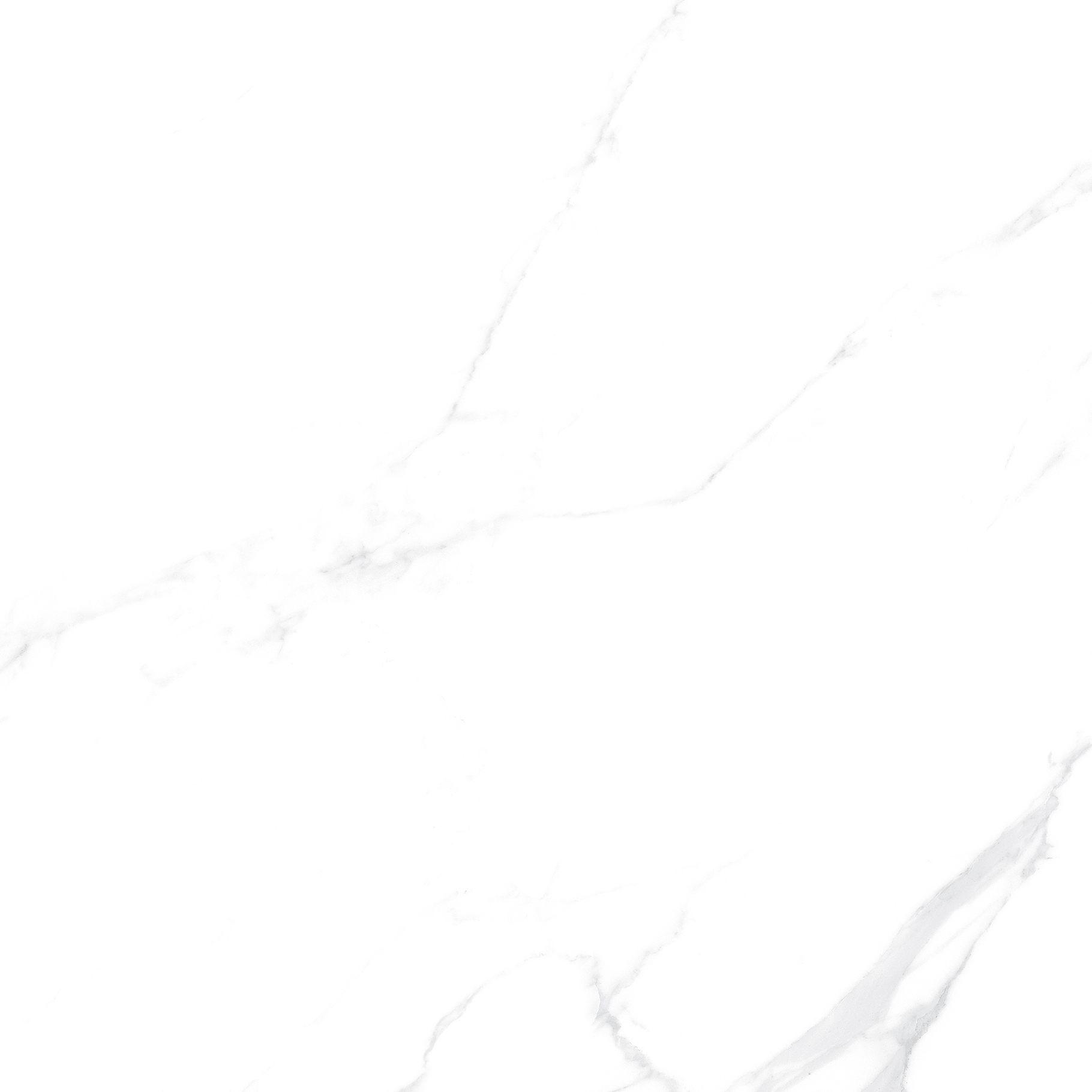 OFTT82999 銀河白
