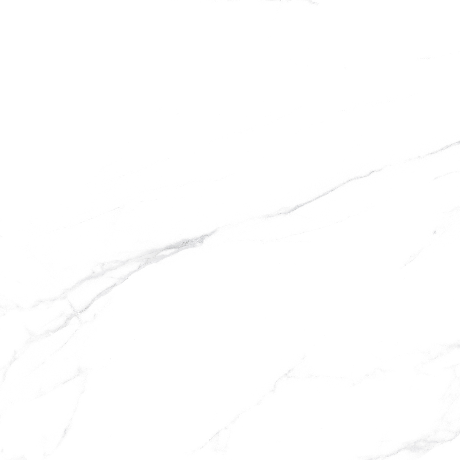 OFTT82999 銀河白