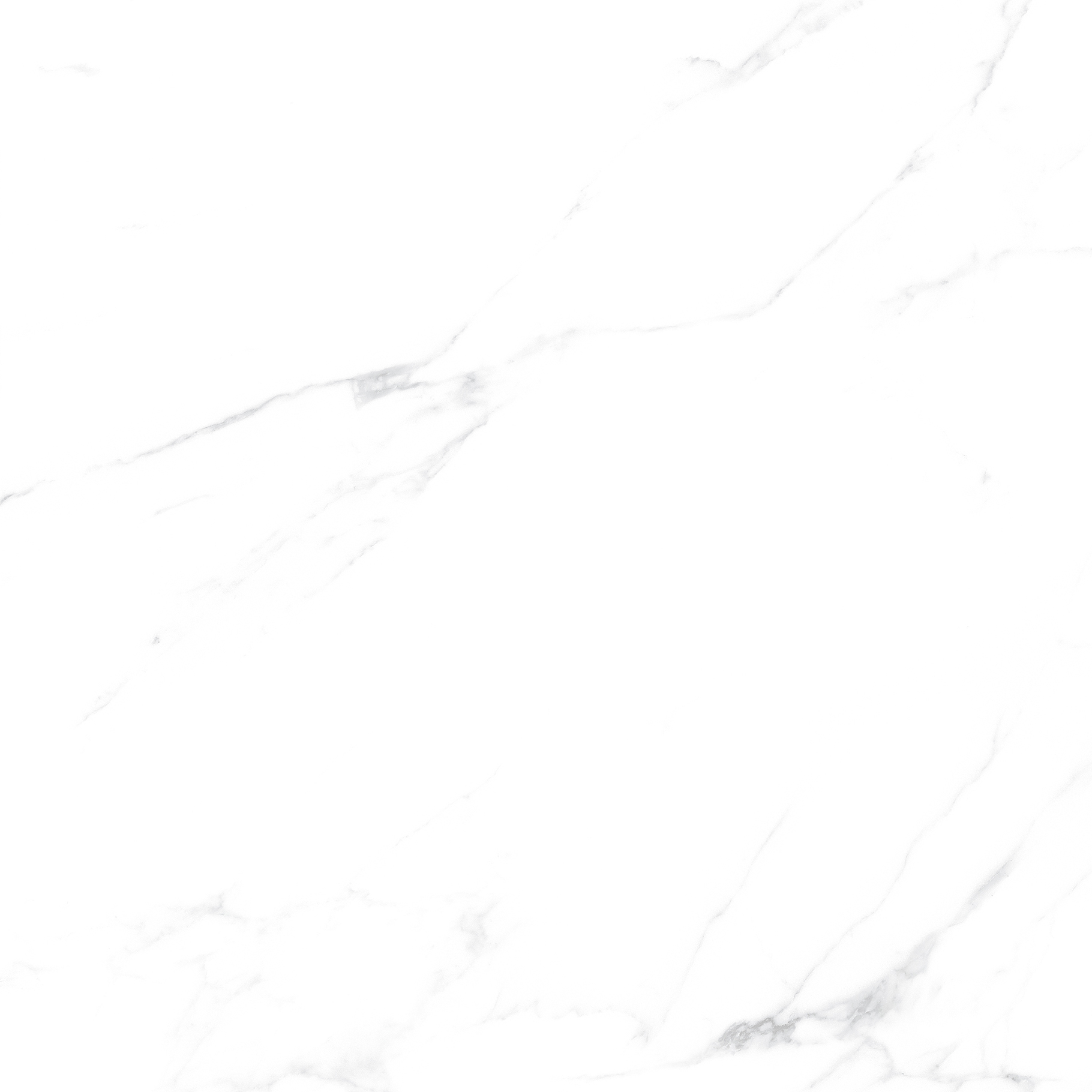 OFTT82999 銀河白